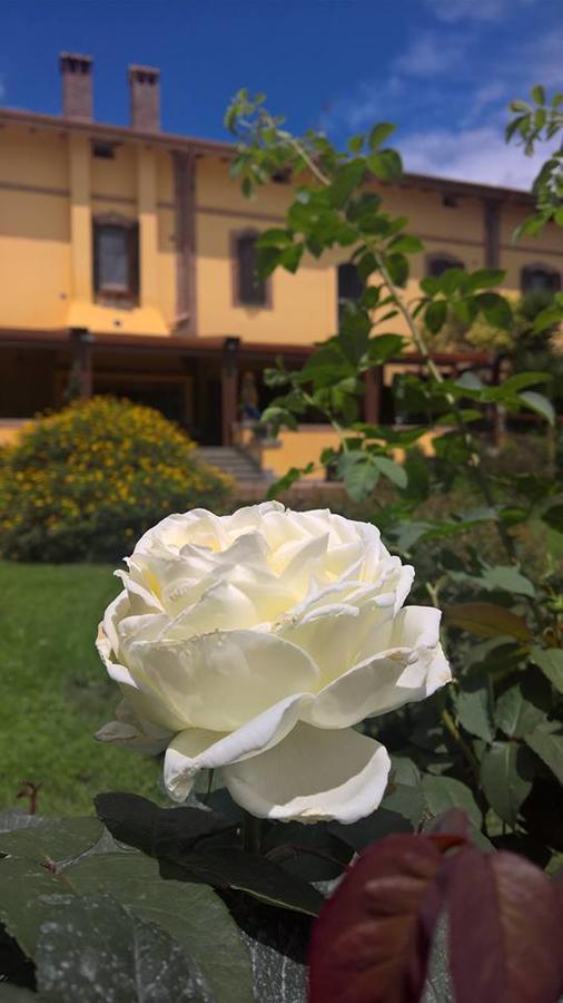 Boma Countryhouse Casale Bufalotta Zewnętrze zdjęcie